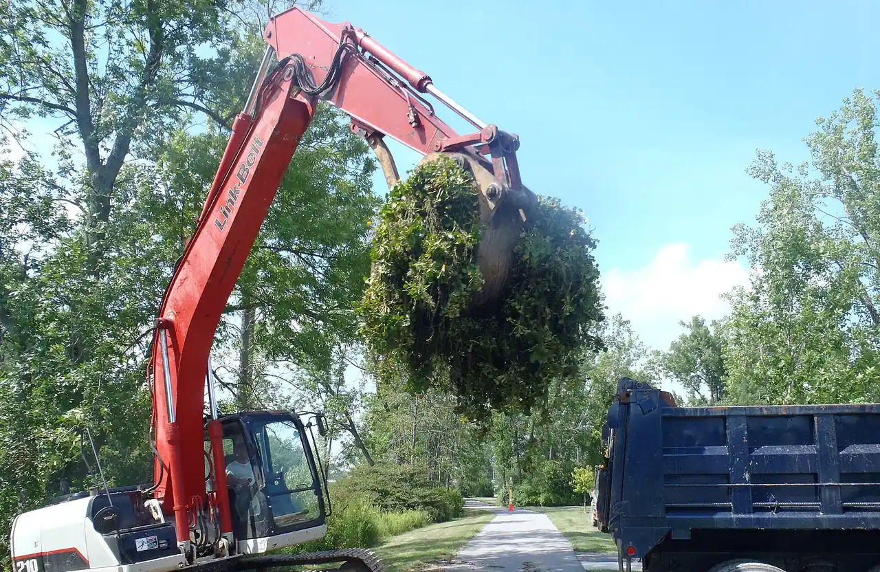 A tracked excavator lifting a felled tree from a wooded lot during land clearing