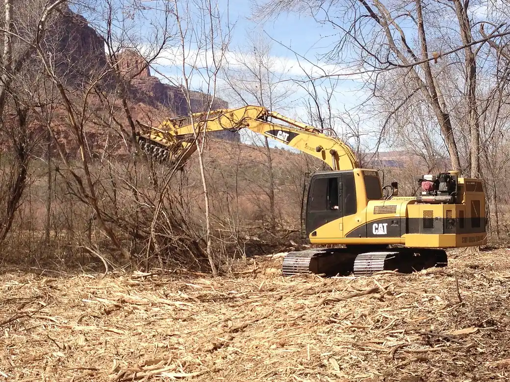 An excavator fitted with a forestry mulching head clearing standing brush